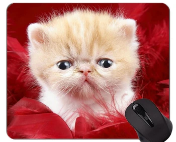 Подложка за мишка с прошитым ръба, подложка за мишка с неплъзгащи гумена основа от пера коте и котки